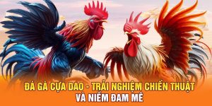 Đá Gà Cựa Dao - Trải Nghiệm Chiến Thuật Và Niềm Đam Mê