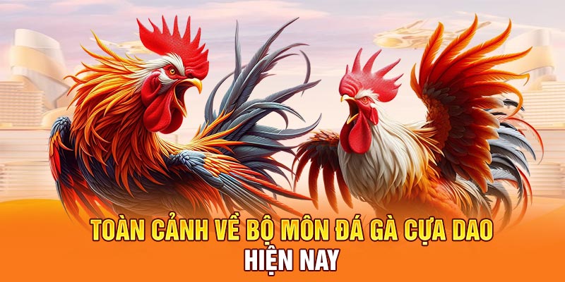 Toàn cảnh về bộ môn đá gà cựa dao hiện nay